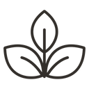 ECO
